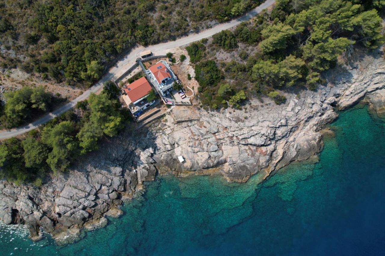House Zecja *